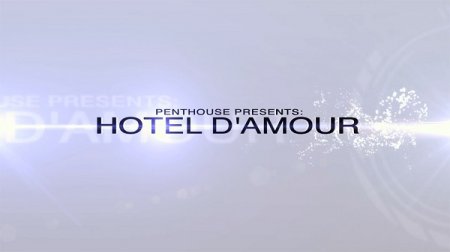 Hotel d'amour (SOFTCORE VERSION / 2016)