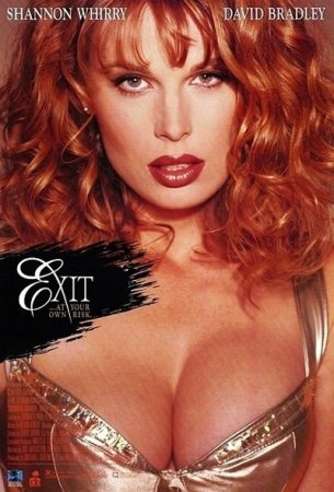 Exit (1996) DVDRip