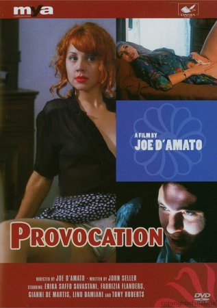 Provocazione / Provocation (1995)