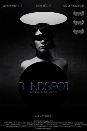 Blindspot (2008)