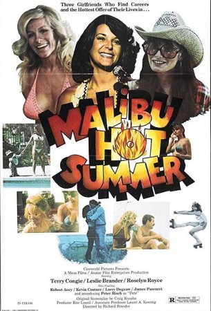 Sizzle Beach, U.S.A / Malibu Hot Summer (1981)