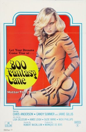 800 Fantasy Lane / Big Sex (1979)