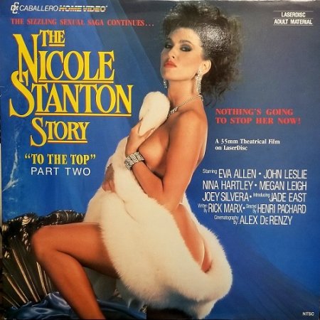 The Nicole Stanton Story 2: To the Top (1988)