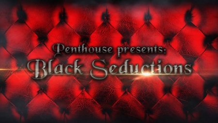 Penthouse: Black Seductions (SOFTCORE VERSION / 2016)