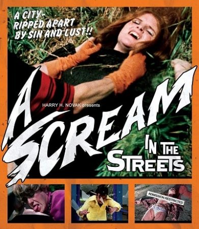 A Scream in the Streets (1973)
