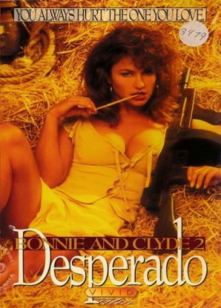 Bonnie and Clyde 2: Desperado (1993)