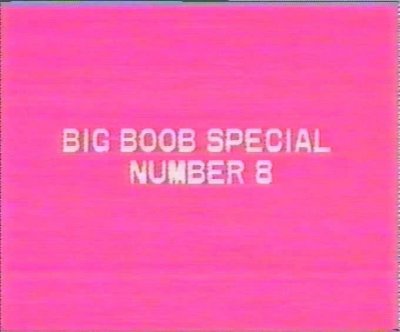 Big Boob Special 8 (circa 1992)