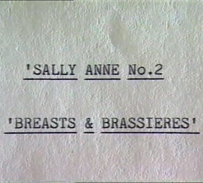 Sally Anne 2 - Breasts and Brassieres (1991)
